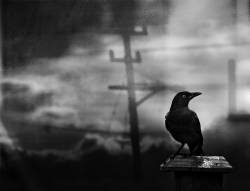 Tube : A Storm to Bring the Dark Age